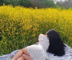 Call Girls In Siddarth Vihar 9599809833 Ghaziabad Escorts Feel Relax Mind & Body